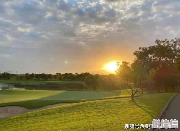 被修理工强行侵本田莉子，震惊全网！事件背后隐藏的真相让人难以置信，引发社会广泛关注与讨论！