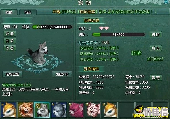 DNF小龙宠物哪个颜色外观更加吸引人与好看