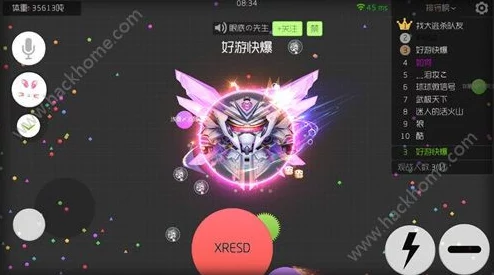 球球大作战：全面解析暖暖鸟妈妈皮肤解锁攻略与技巧详解