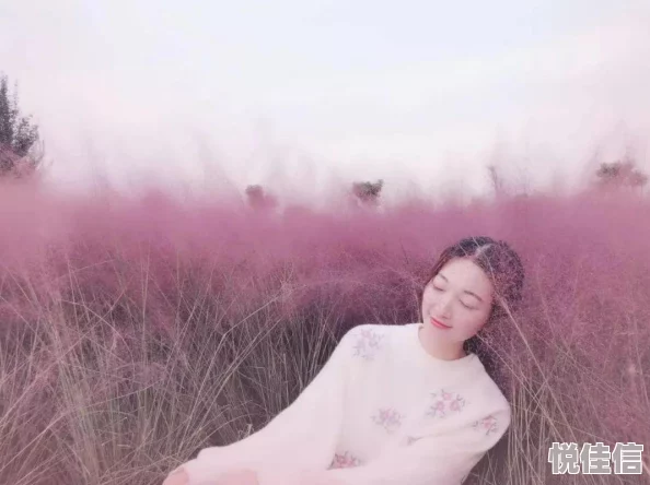 深度解析：钢铁少女第二章2-4关卡路线图及详细敌军分布策略讲解