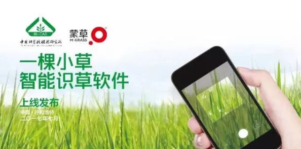 青草视频网页网站维护升级预计48小时内完成